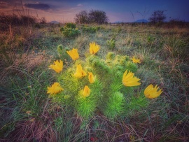 Színes ébredés...