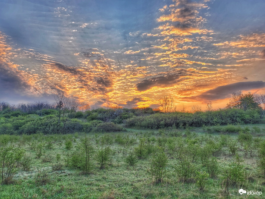 Várj, míg felkel...