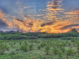 Várj, míg felkel...