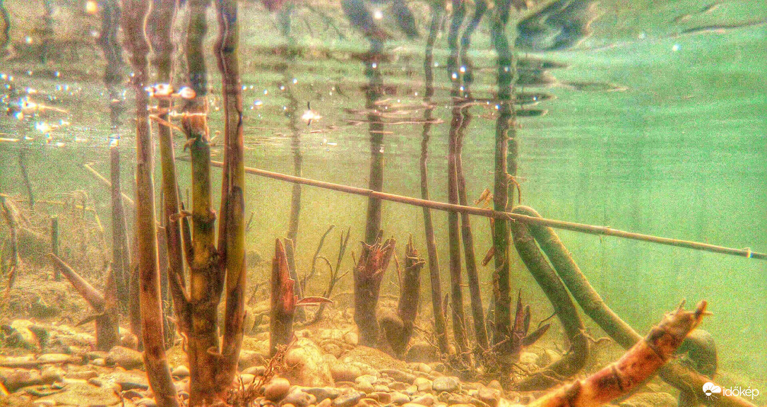 Waterworld (Vízi- világ)