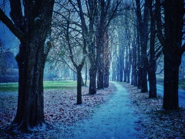 A ligetben (télen) is nagyszerű...