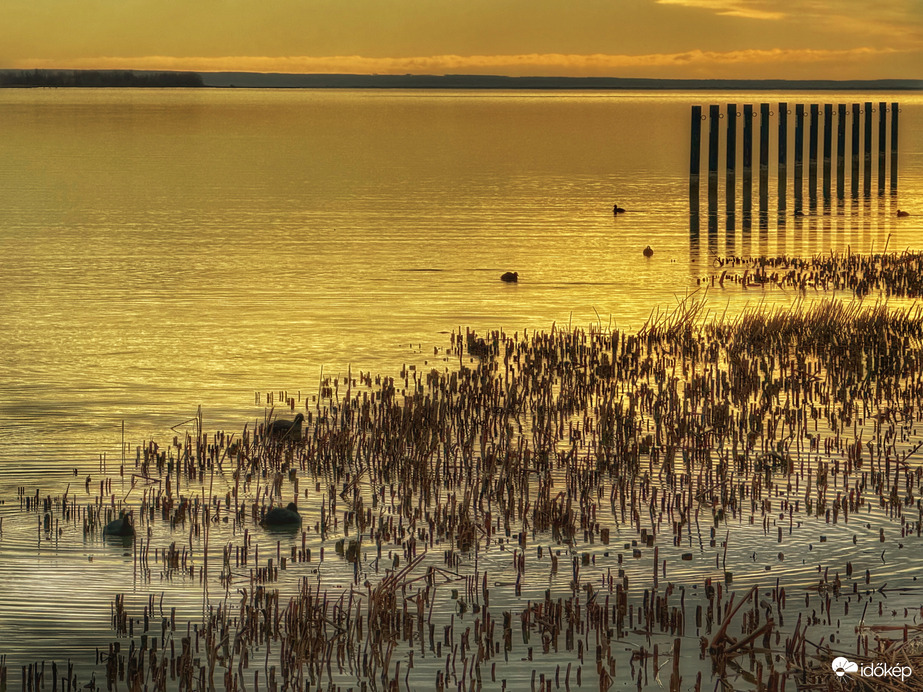 Narancsszínű álom