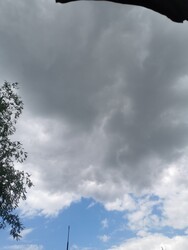 Tura