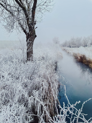 Illa berek, nádak, erek… 1.