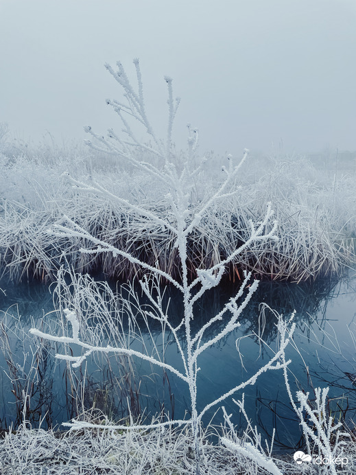 Illa berek, nádak, erek… 4.