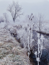 Illa berek, nádak, erek… 5.