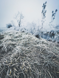 Illa berek, nádak, erek… 6.