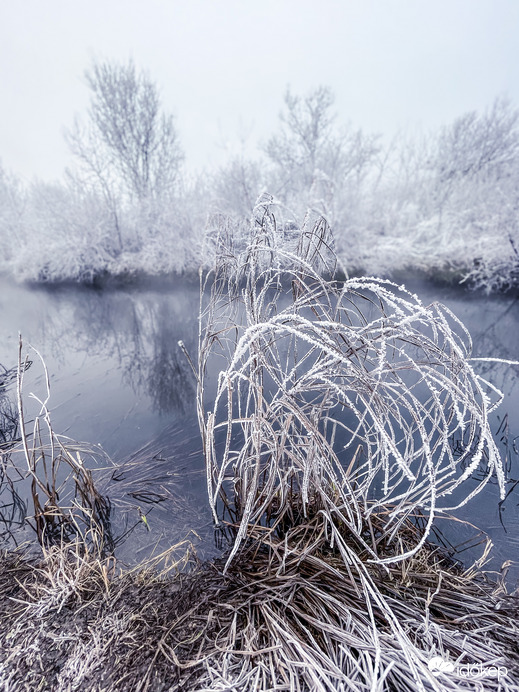 Illa berek, nádak, erek… 9.