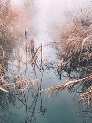 Illa berek, nádak, erek… 16.