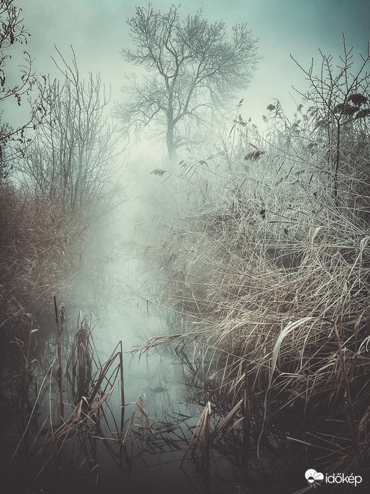 Illa berek, nádak, erek… 17.