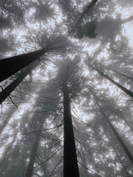 Óriások kertje. 2.