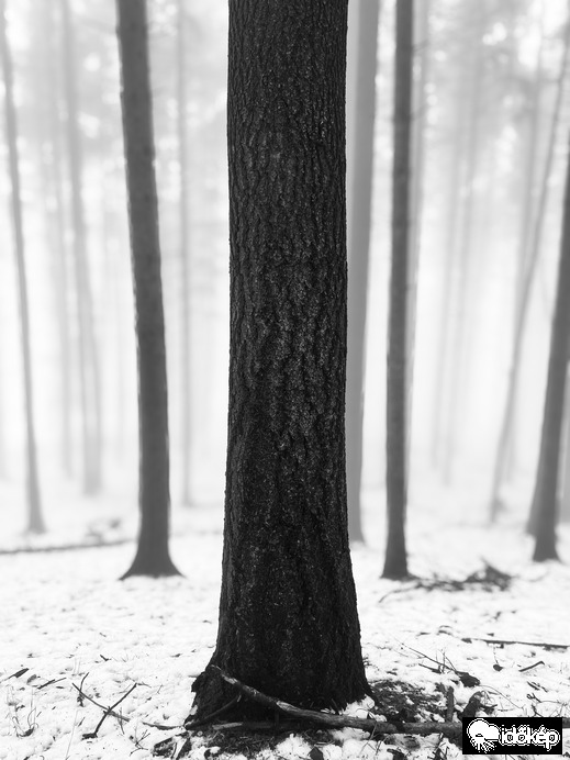 Óriások kertje. 3.