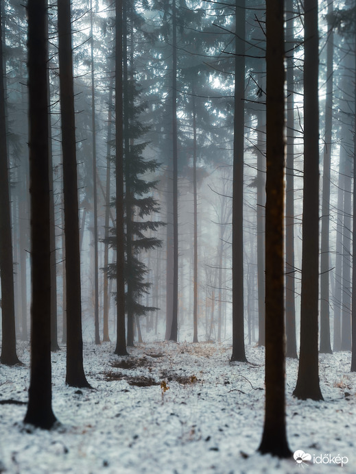 Óriások kertje. 6.