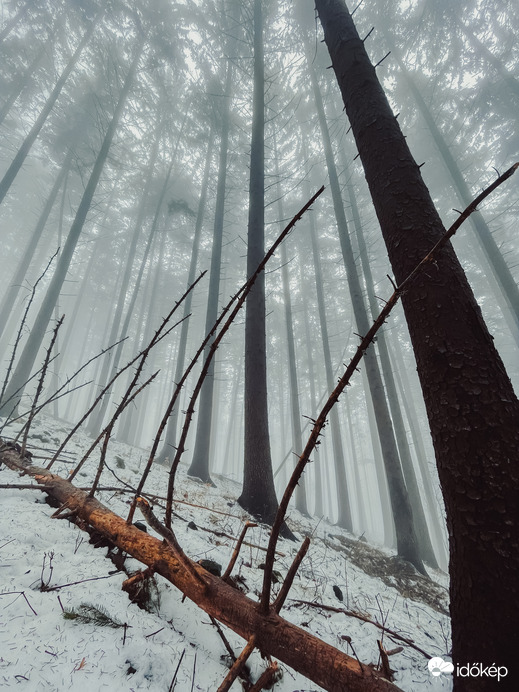 Óriások kertje. 8.