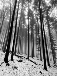 Óriások kertje. 9.