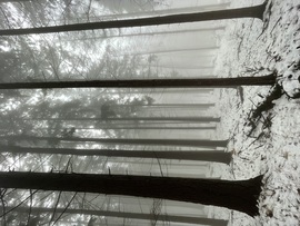 Óriások kertje. 10.