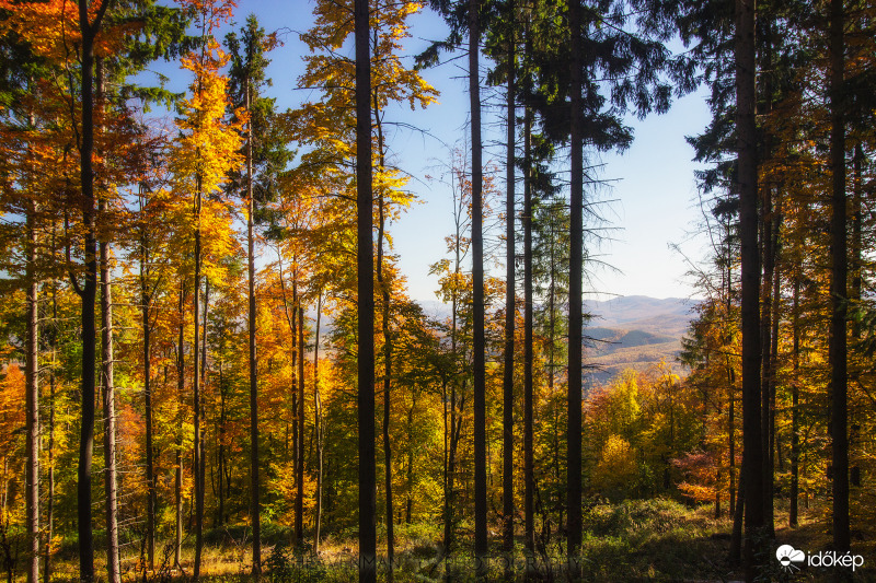 Ősz a Mátrában 4.