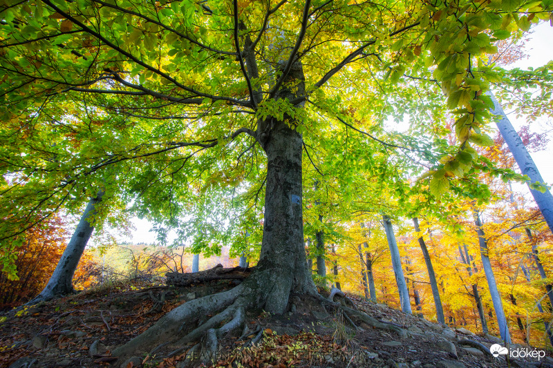Ősz a Mátrában 6.