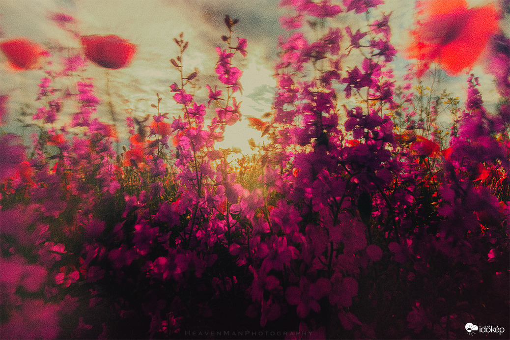 Monet kertje...