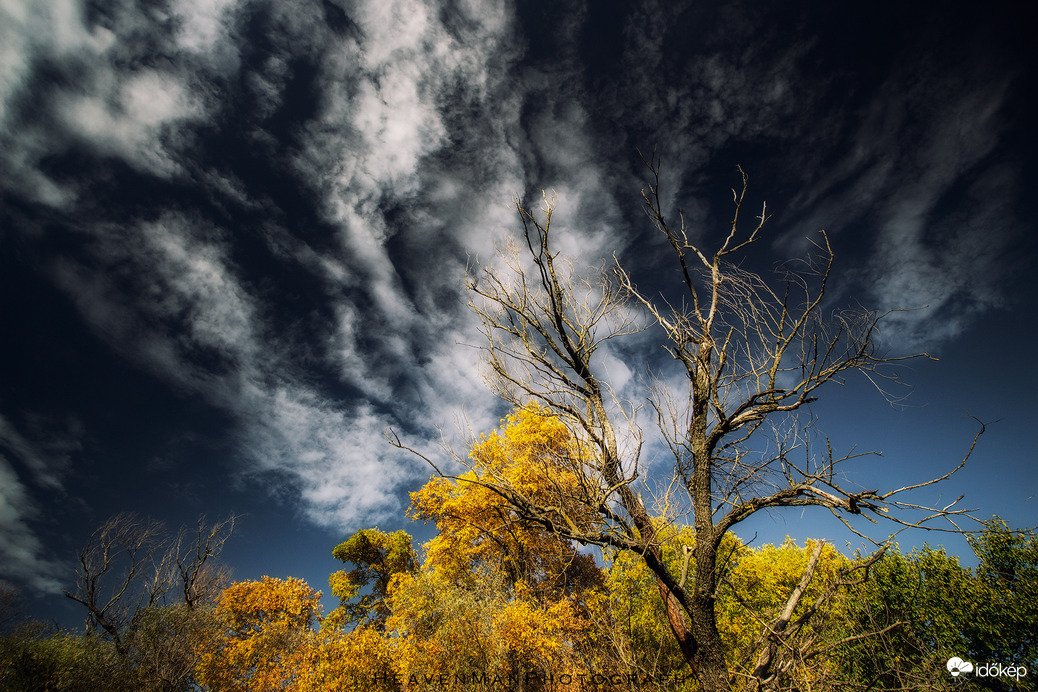Az őszi Tisza mindig magával ragadó...5