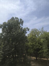 Tatabánya