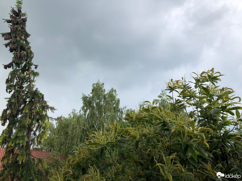 Herend