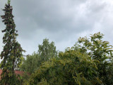 Herend