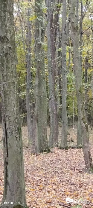 Nemesbük