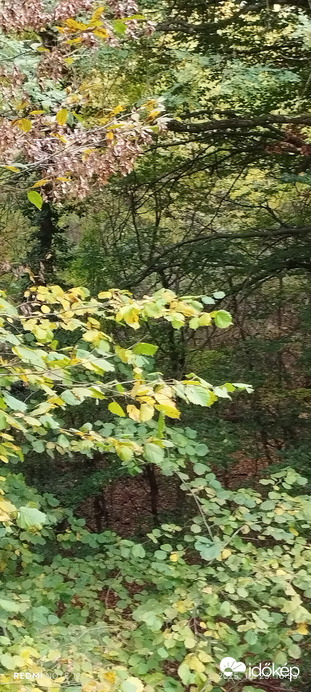 Nemesbük