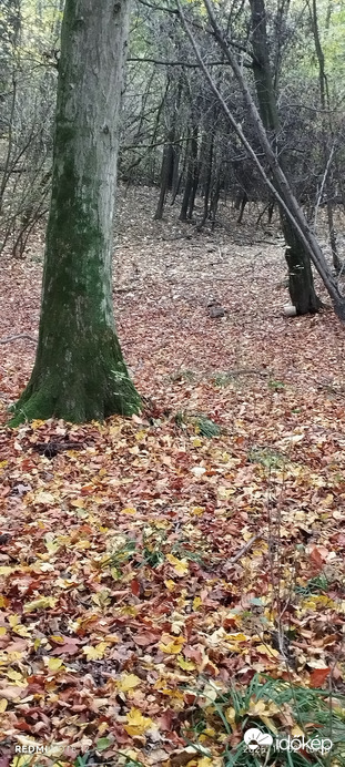 Nemesbük
