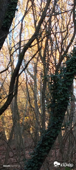 Nemesbük