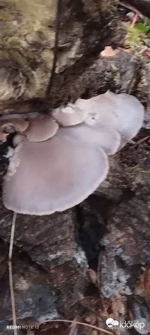 Nemesbük