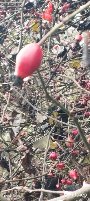 Nemesbük