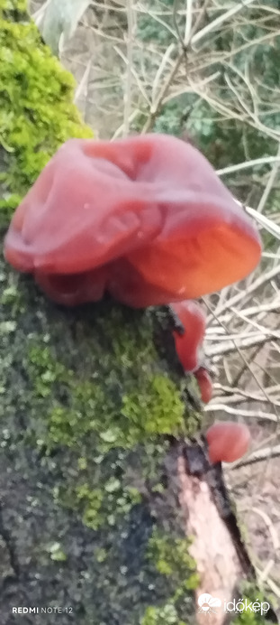 Nemesbük