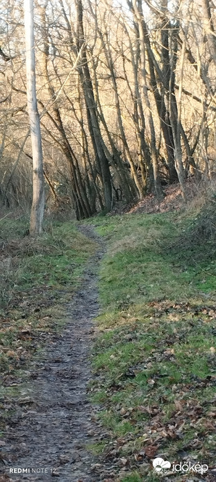 Nemesbük