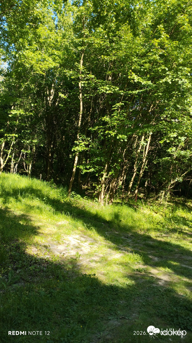 Nemesbük
