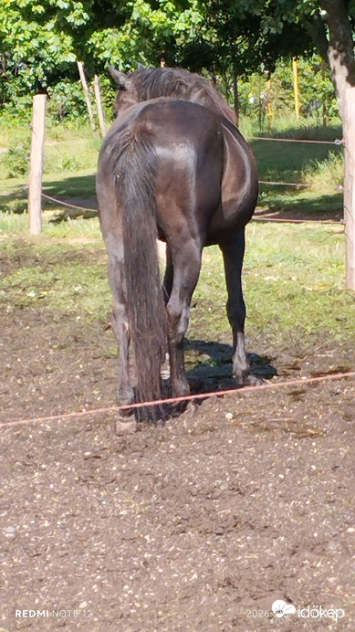 Nemesbük