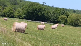 Nemesbük