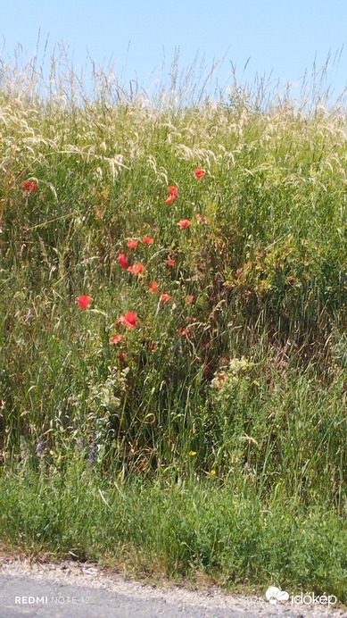 Nemesbük
