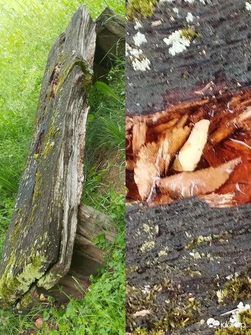 Nemesbük