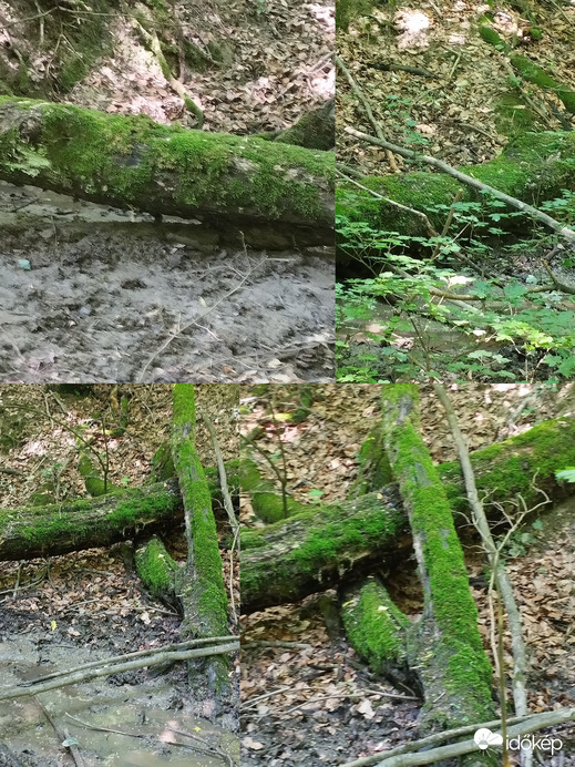 Nemesbük