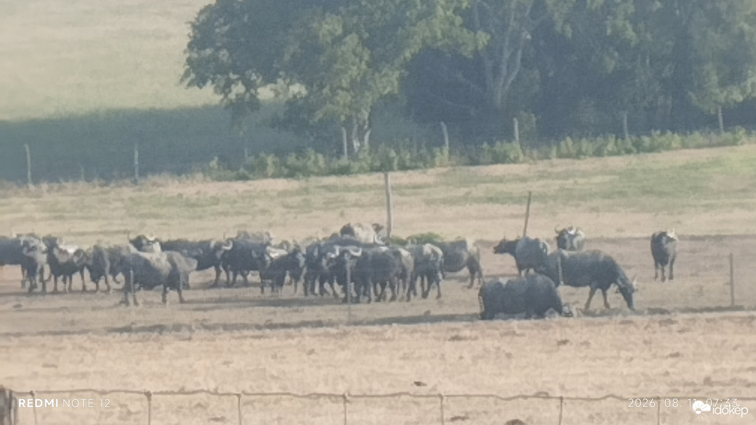 Nemesbük