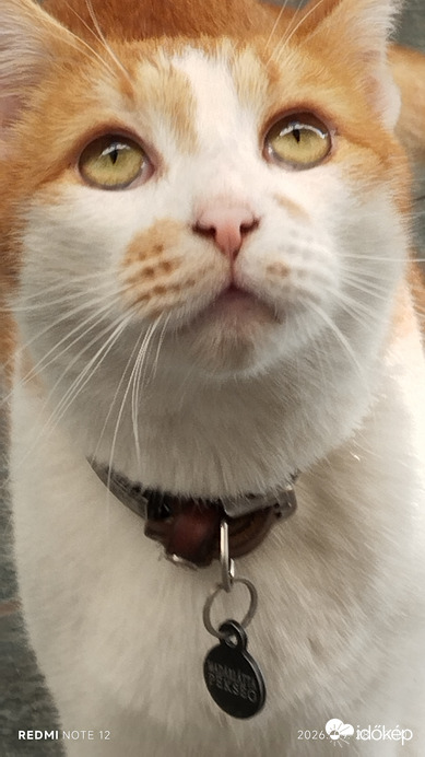 Nemesbük