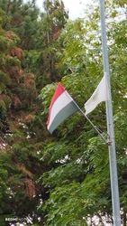 Nemesbük
