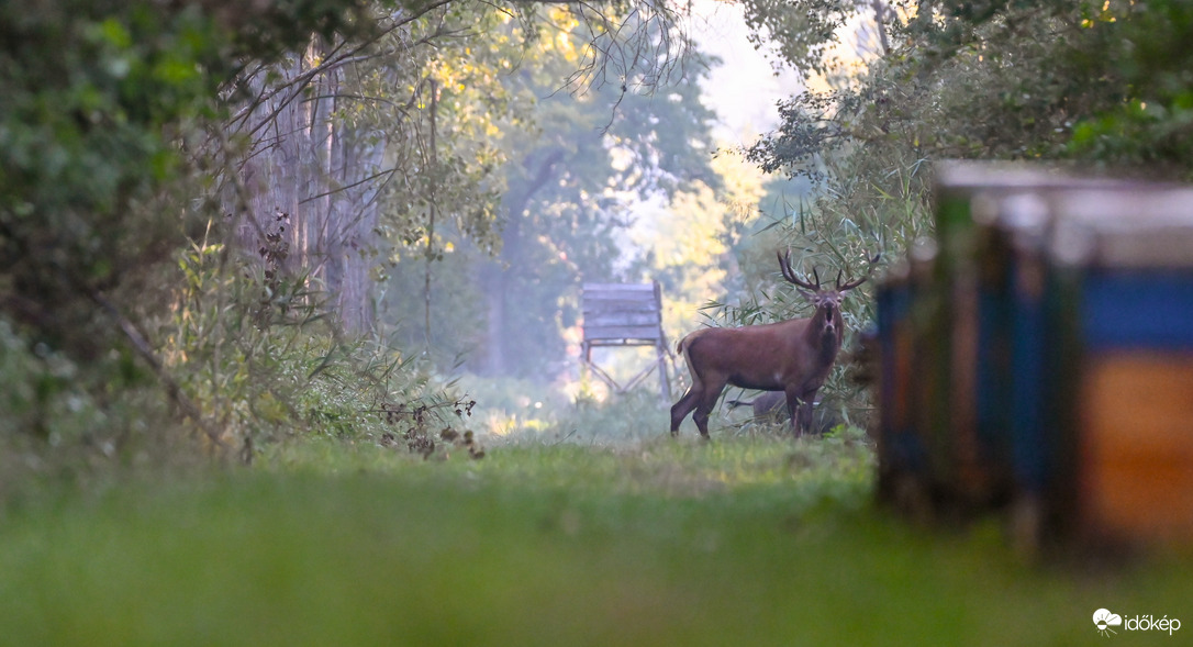 Az élet körforgása
