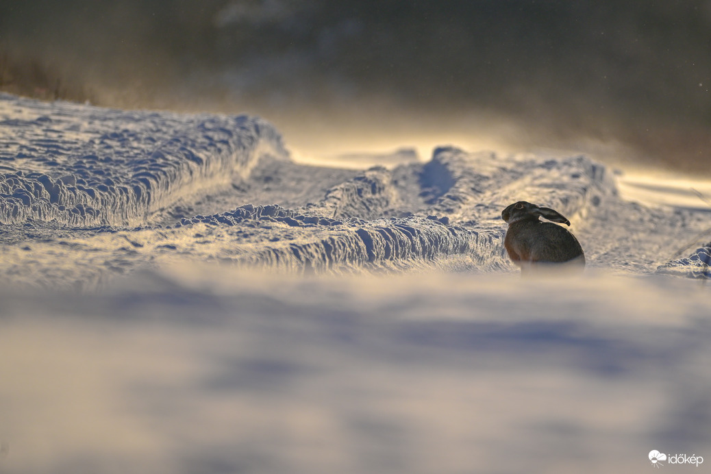 Hófúvás közepette 