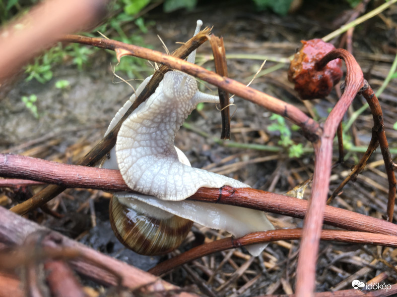 Reggeli street workout