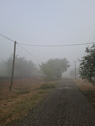 Nagyszénás