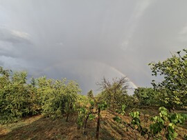 Nagyszénás