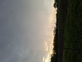 Nagyszénás